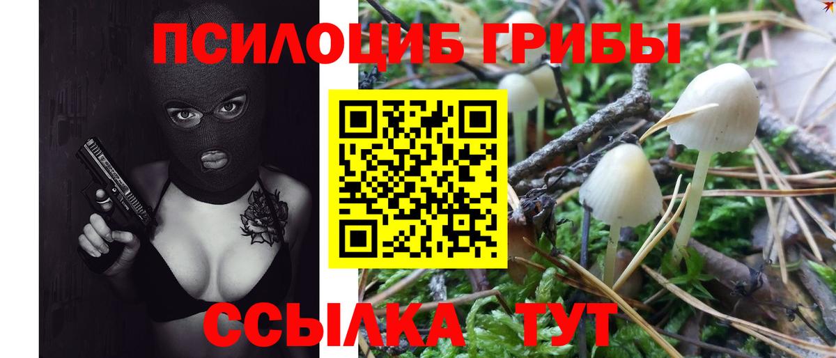 Галлюциногенные грибы GOLDEN TEACHER  Вход с VPN  Псилоцибиновые грибы мицелий  Лесозаводск 