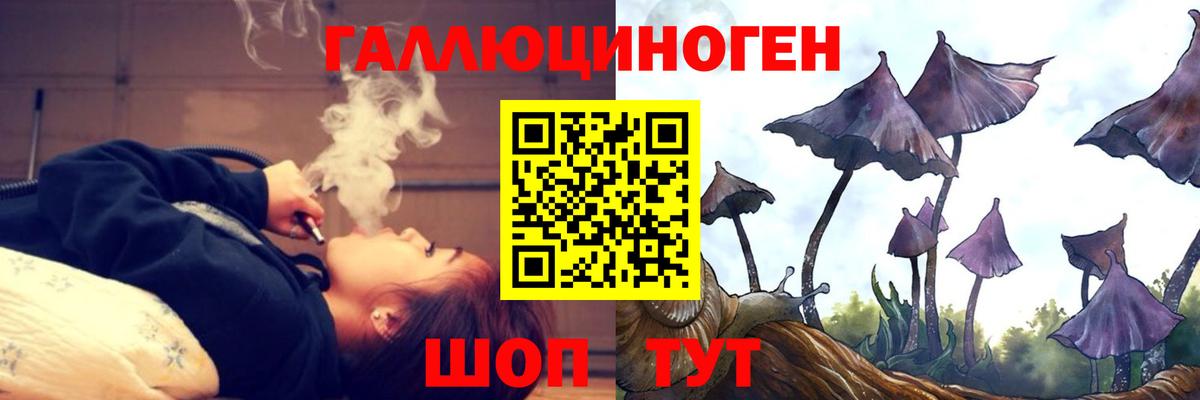Галлюциногенные грибы Psilocybe Лесозаводск